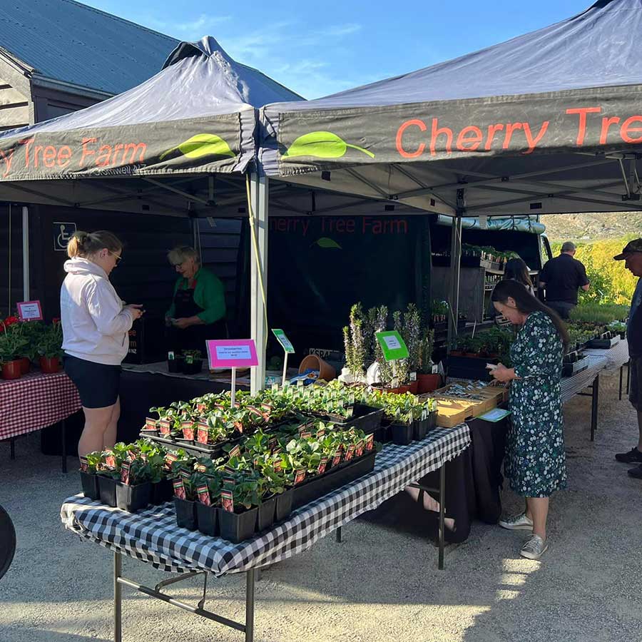 cherry tree farm market gardens queenstown

