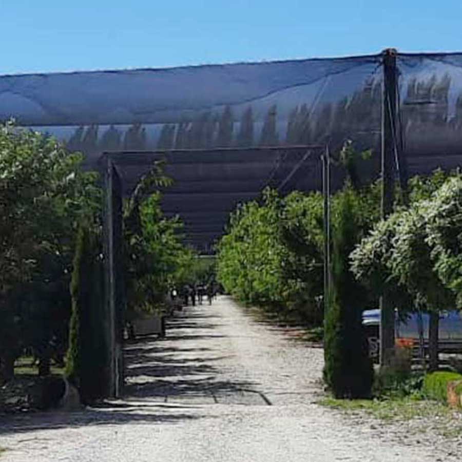 entrance to cherry tree farm cromwell cherry orchard