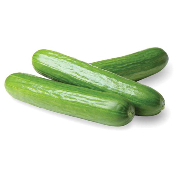 Cucumber Lebanese