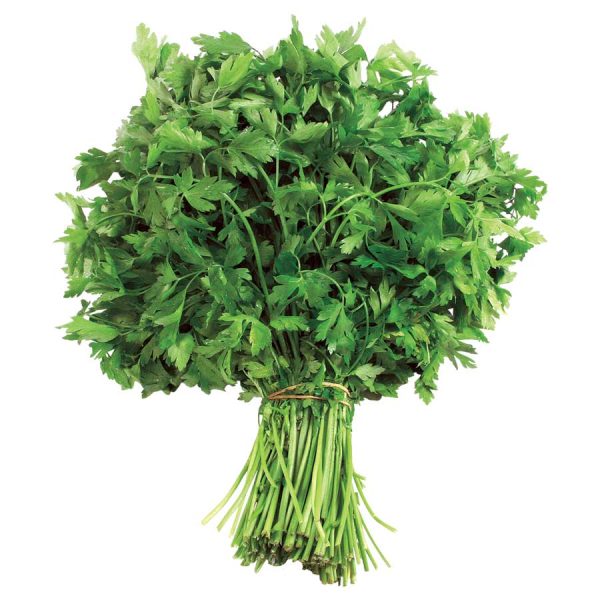 Parsley Italian