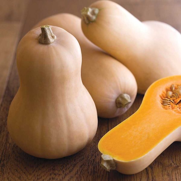 Pumpkin Pete's Butternut
