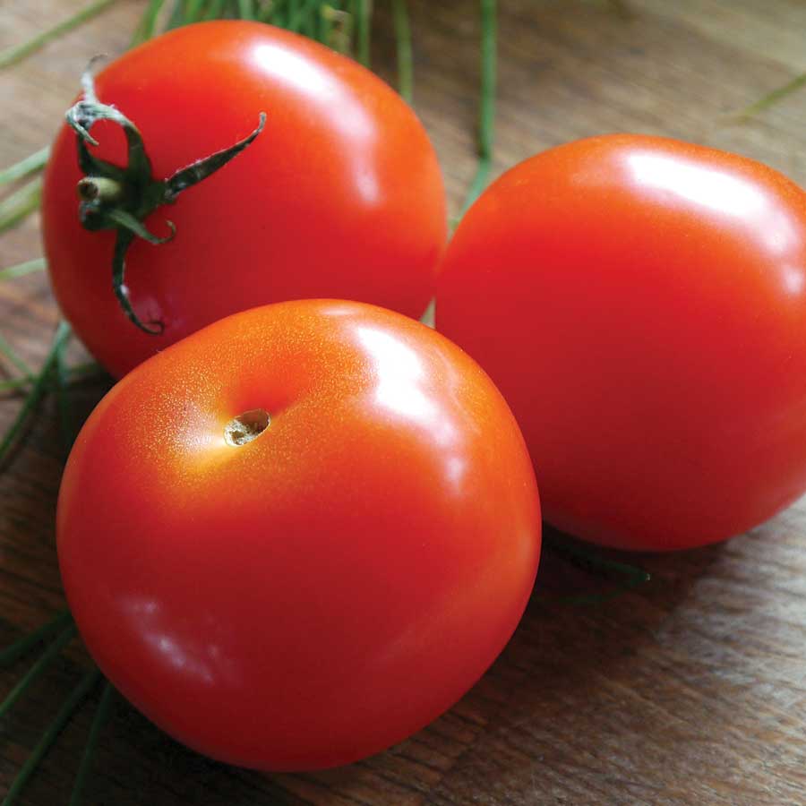Tomatoes Pete’s Outdoor