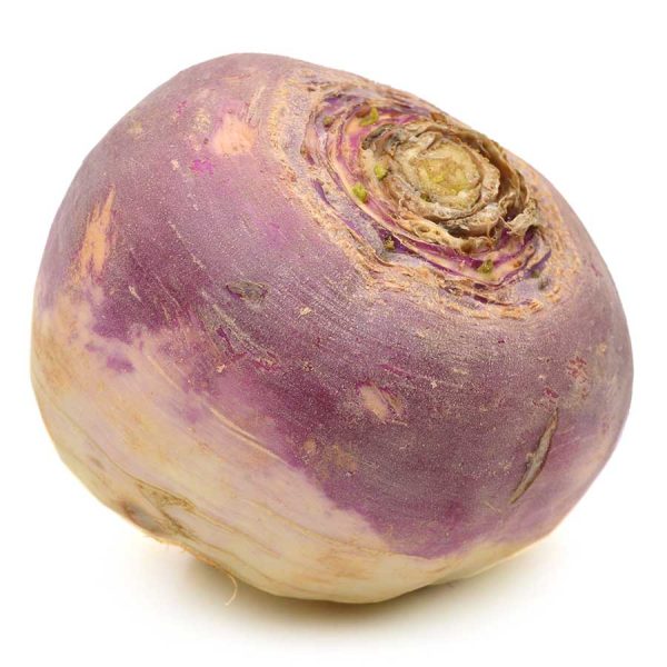 White Stone Turnip Seeds